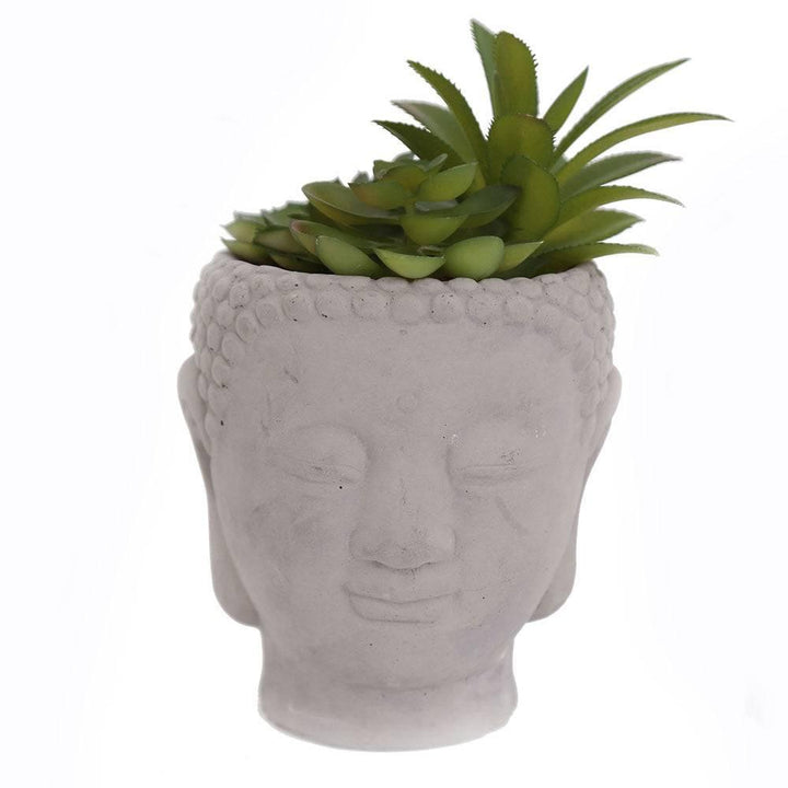 20cm Buddha Head Succulent - Home Decor Emporium