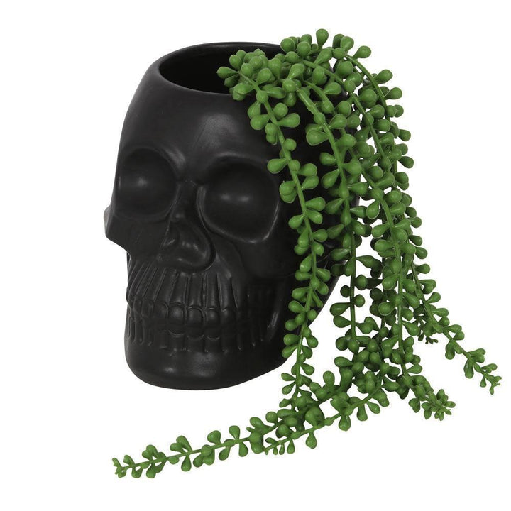 Black Skull Plant Pot - Home Decor Emporium