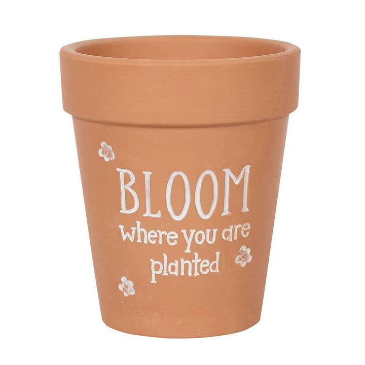 Bloom Where You Are Planted Terracotta Plant Pot - Home Decor Emporium