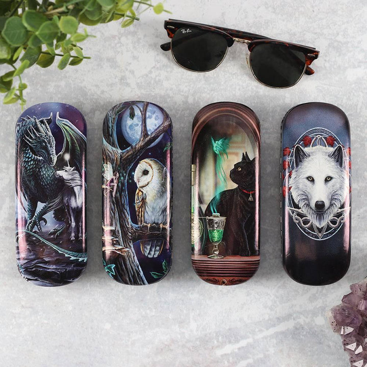 Fairy Tales Glasses Case by Lisa Parker - Home Decor Emporium