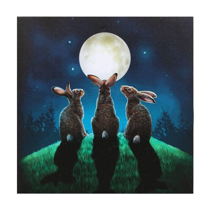 Moon Shadows Light Up Canvas Plaque by Lisa Parker - Home Decor Emporium