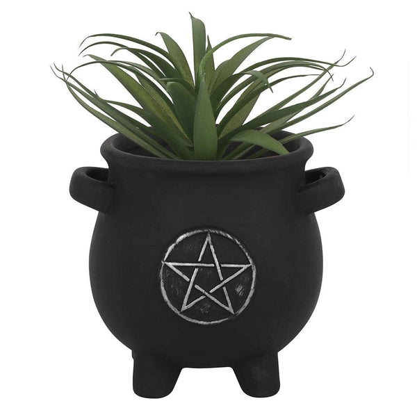 Pentagram Cauldron Plant Pot - Home Decor Emporium