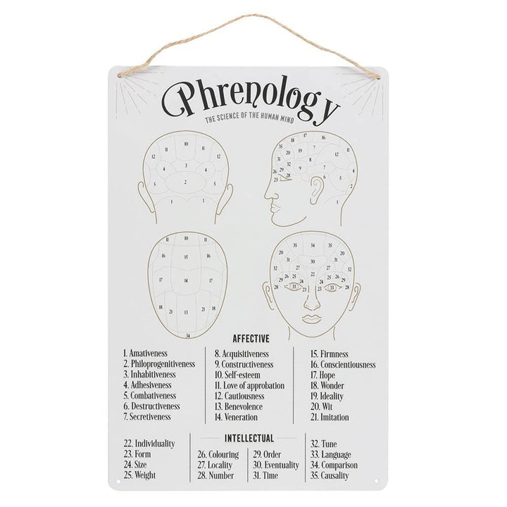 Phrenology Map Metal Sign - Home Decor Emporium