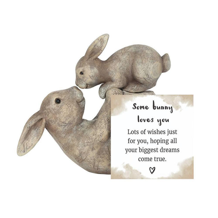 Some Bunny Loves You Ornament - Home Decor Emporium