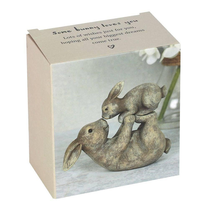 Some Bunny Loves You Ornament - Home Decor Emporium