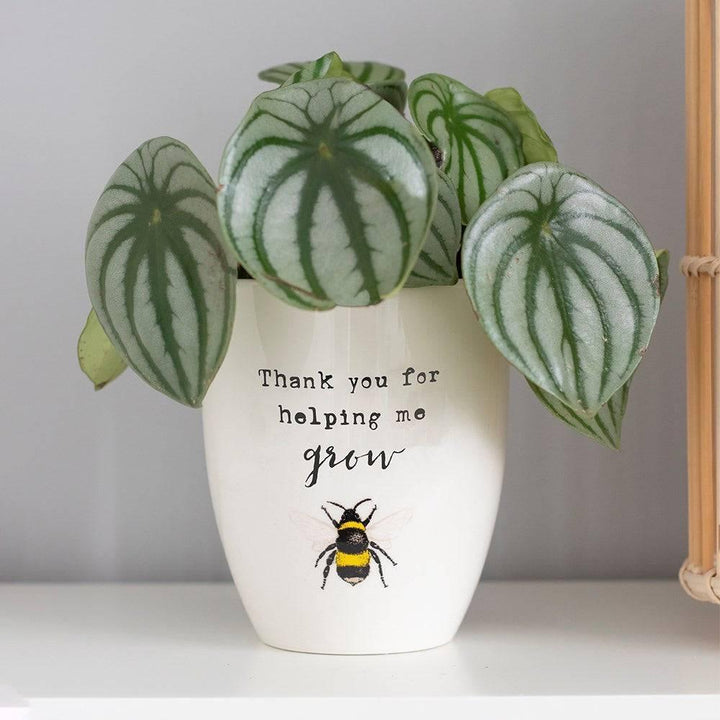 Thank You For Helping Me Grow Ceramic Plant Pot - Home Decor Emporium