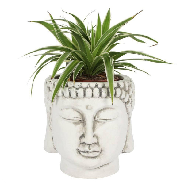 White Terracotta Buddha Head Planter - Home Decor Emporium