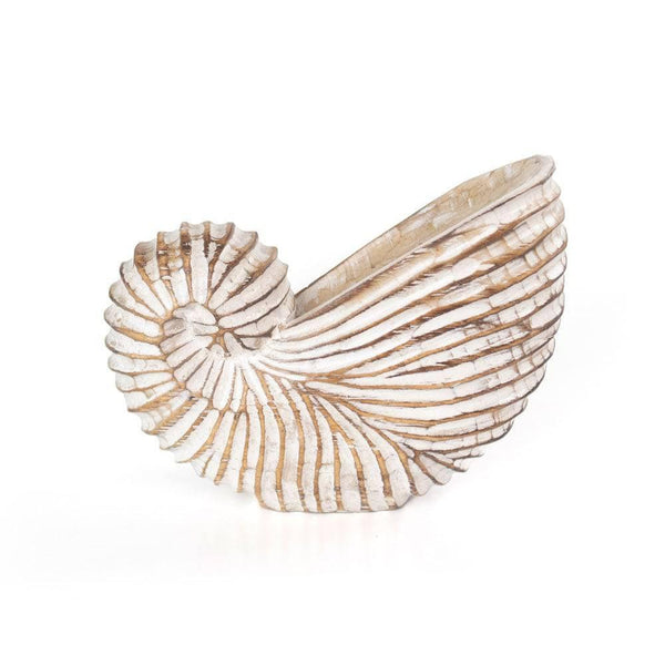 Whitewash Albasia Wood Shell Ornament - Home Decor Emporium