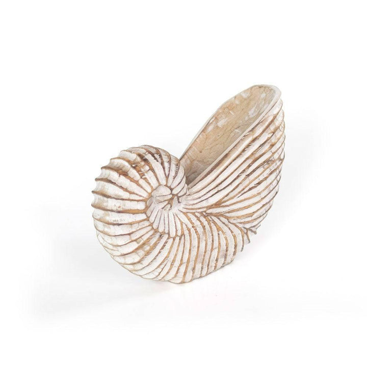 Whitewash Albasia Wood Shell Ornament - Home Decor Emporium