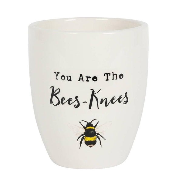 You Are the Bees Knees Ceramic Plant Pot - Home Decor Emporium