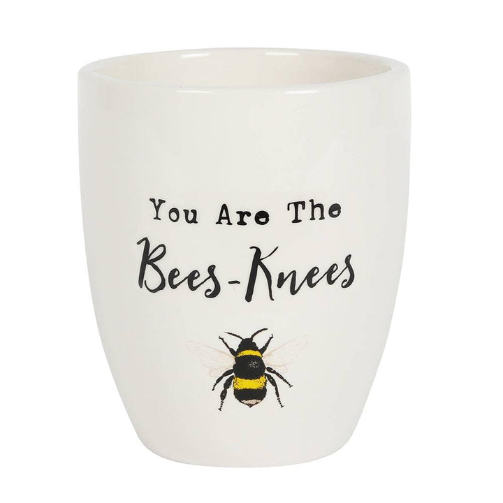 You Are the Bees Knees Ceramic Plant Pot - Home Decor Emporium