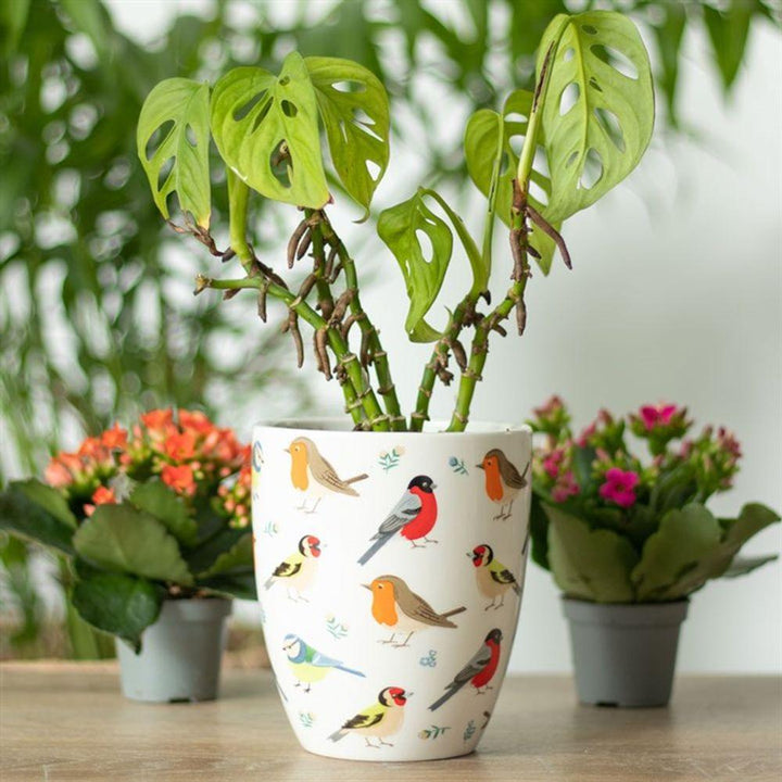 British Garden Birds Ceramic Plant Pot - Home Decor Emporium