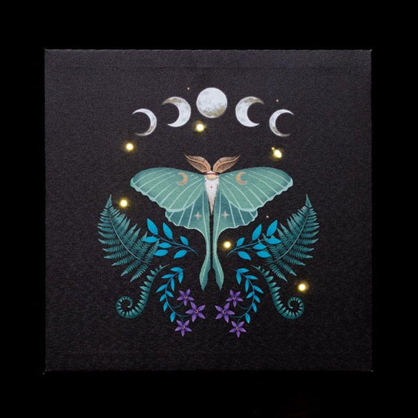 Luna Moth Light Up Canvas Plaque - Home Decor Emporium