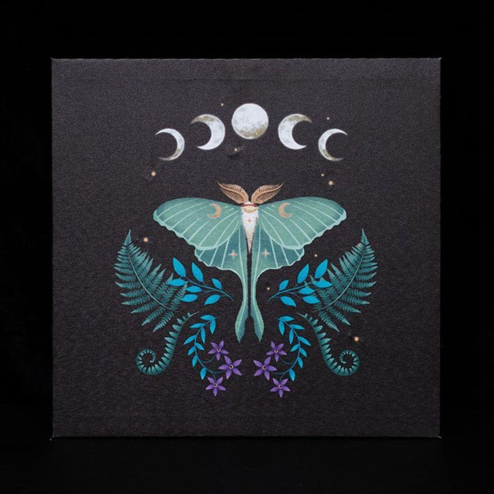 Luna Moth Light Up Canvas Plaque - Home Decor Emporium