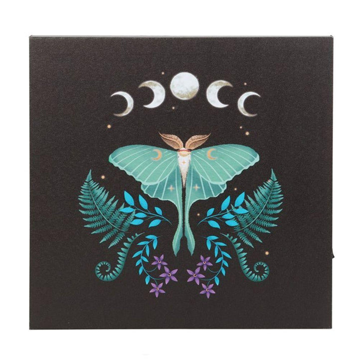 Luna Moth Light Up Canvas Plaque - Home Decor Emporium