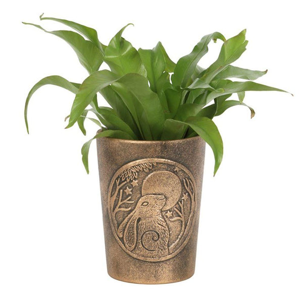 Moon Gazing Hare Bronze Terracotta Plant Pot by Lisa Parker - Home Decor Emporium